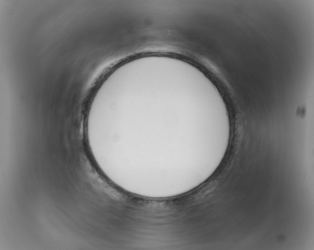 X0000113141408200910021429