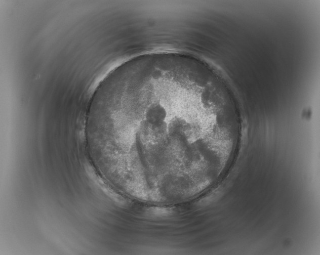 X0000113141409200910021429