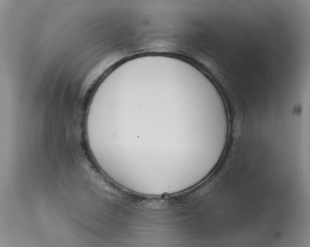 X0000113141410200910021429