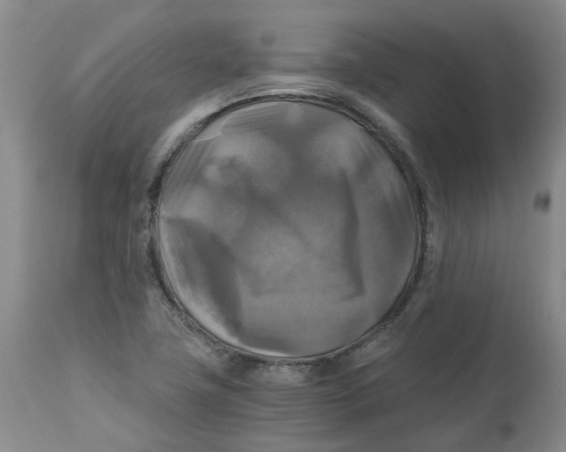 X0000113141411200910021429