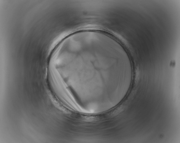 X0000113141413200910021429