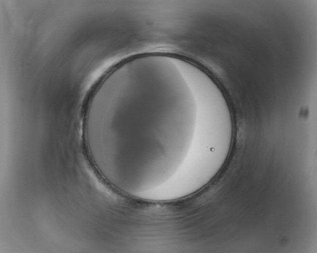 X0000113141414200910021429