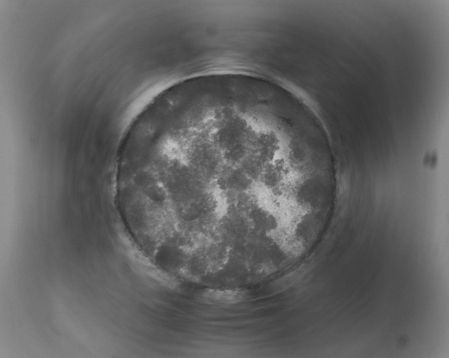 X0000113141415200910021429