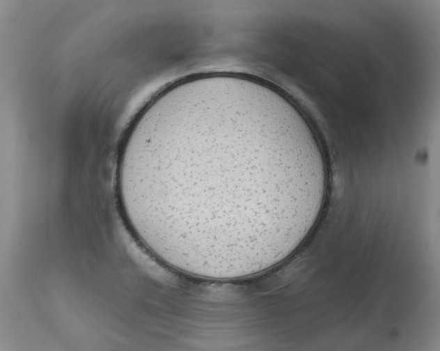 X0000113141416200910021429