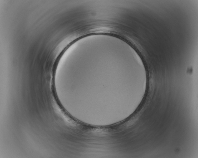 X0000113141418200910021429