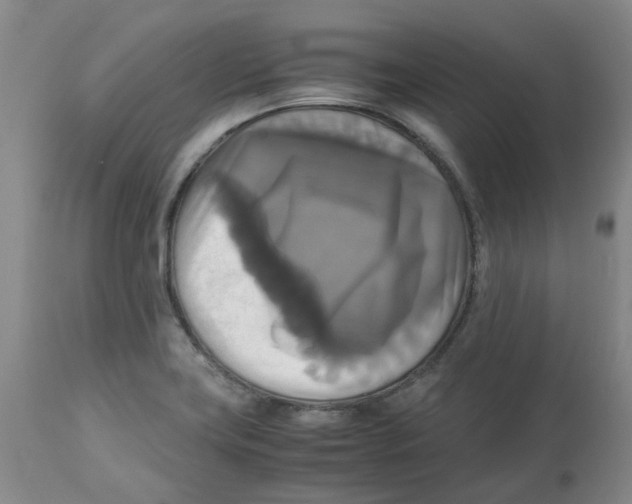 X0000113141419200910021429