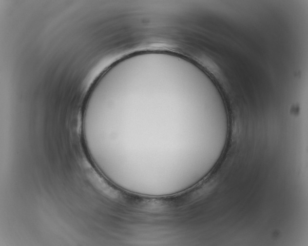 X0000113141420200910021429