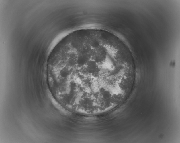 X0000113141421200910021429