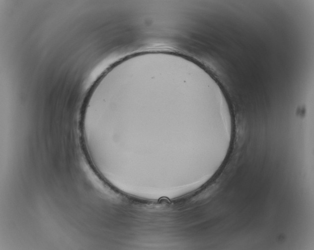 X0000113141422200910021429