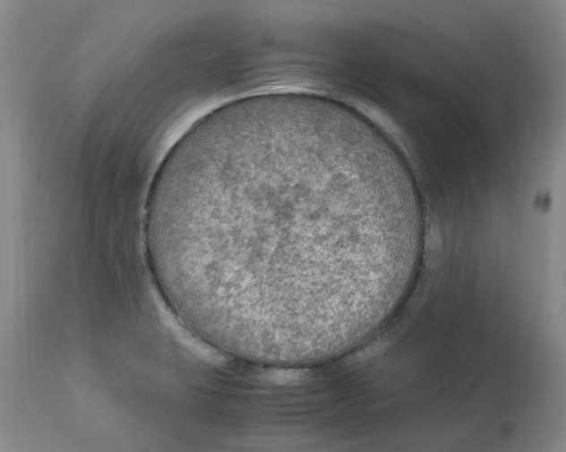 X0000113141423200910021429