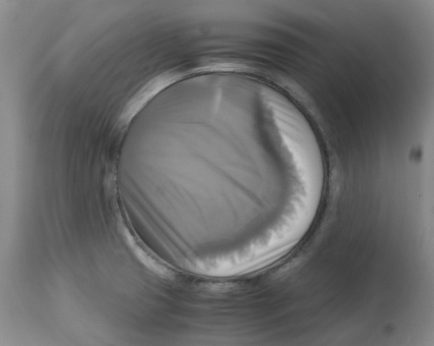 X0000113141425200910021429