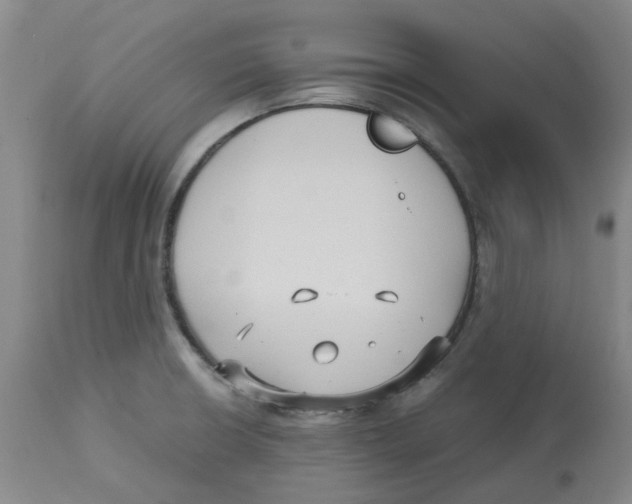 X0000113141426200910021429