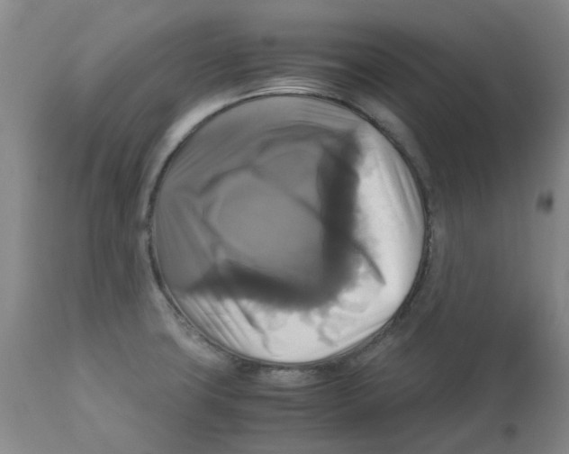 X0000113141427200910021429