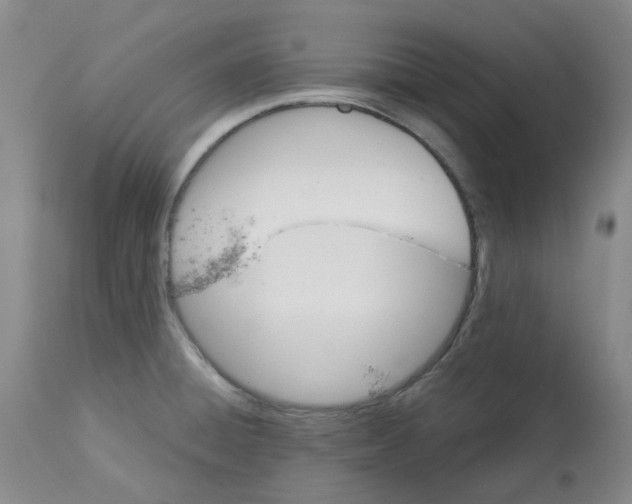 X0000113141428200910021429