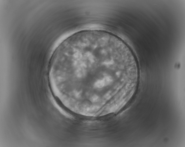 X0000113141429200910021429