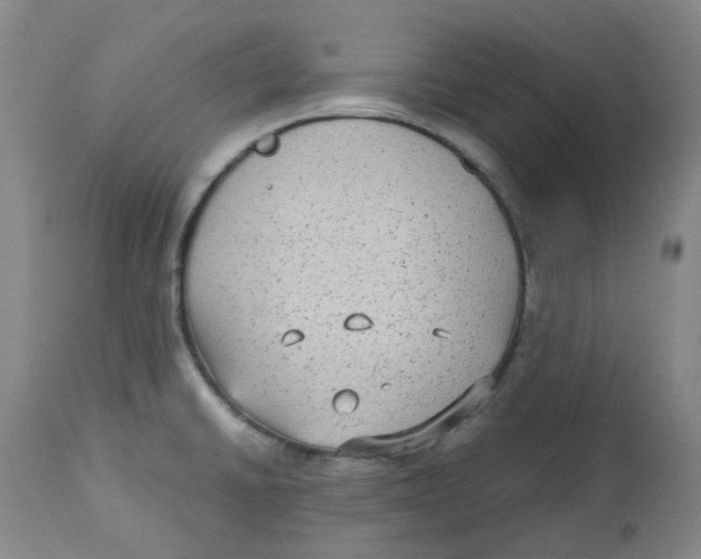 X0000113141430200910021429