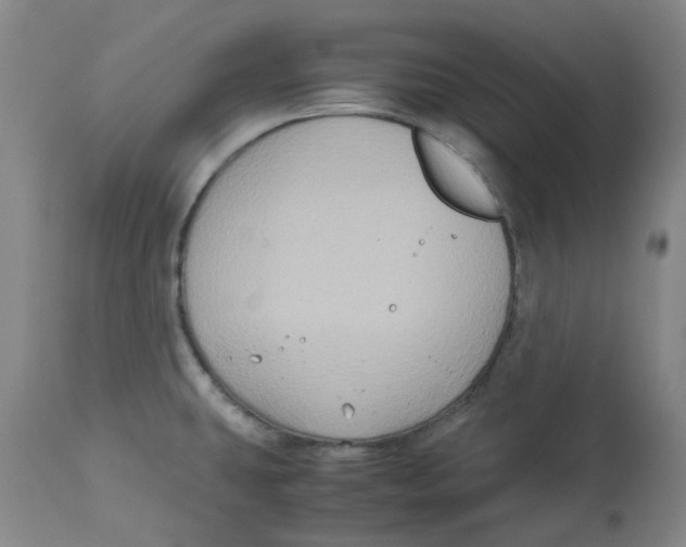 X0000113141431200910021429