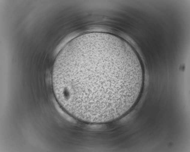 X0000113141433200910021429