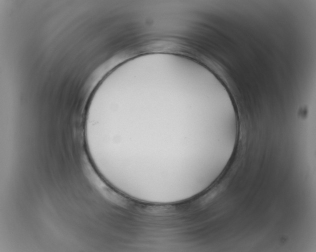 X0000113141434200910021429