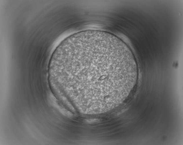 X0000113141435200910021429