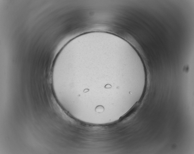 X0000113141436200910021429