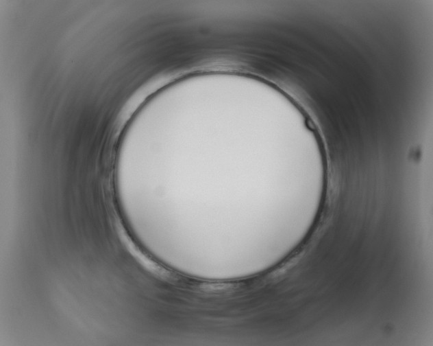 X0000113141437200910021429