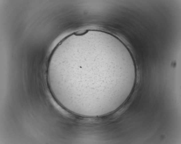 X0000113141438200910021429