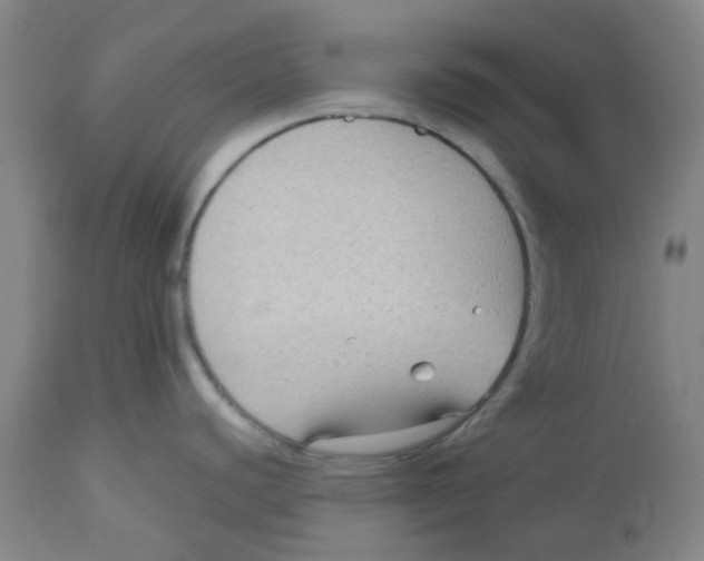 X0000113141440200910021429