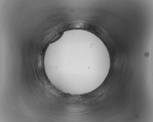 X0000113141442200910021429