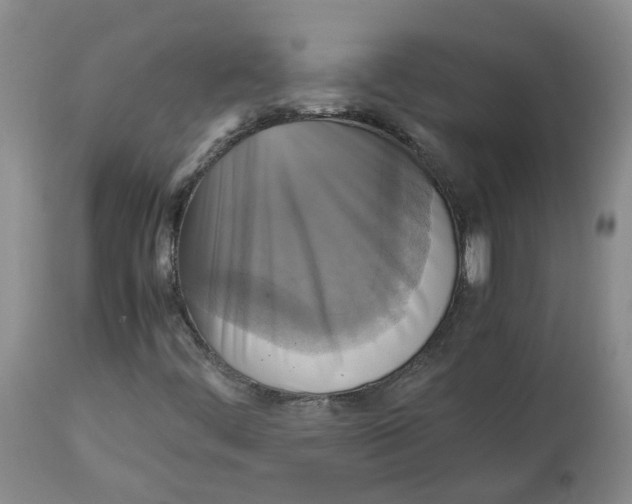 X0000113141444200910021429