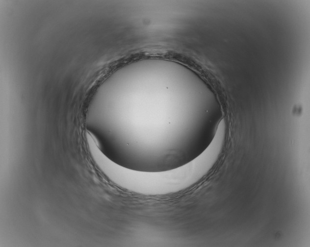 X0000113141445200910021429