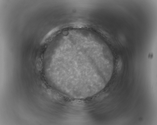 X0000113141446200910021429