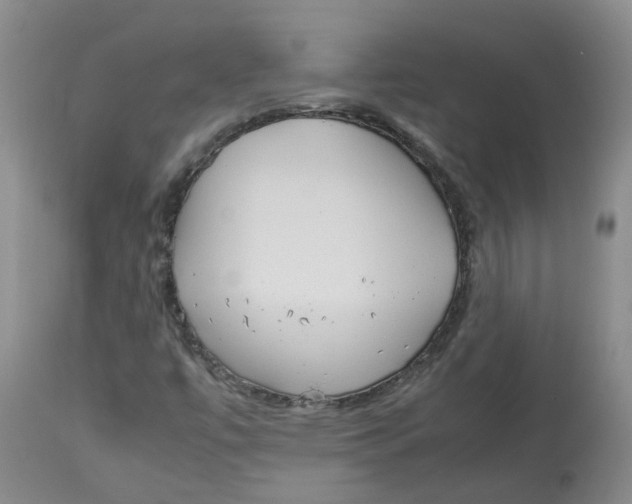 X0000113141447200910021429