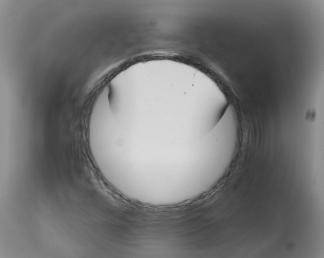 X0000113141448200910021429