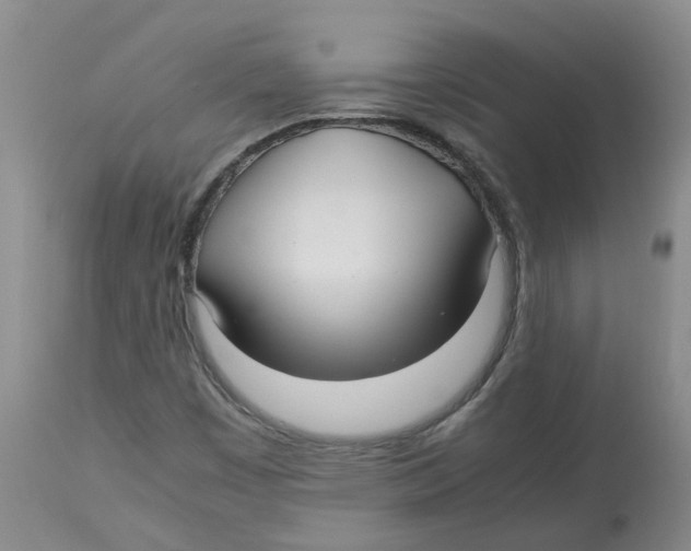 X0000113141449200910021429