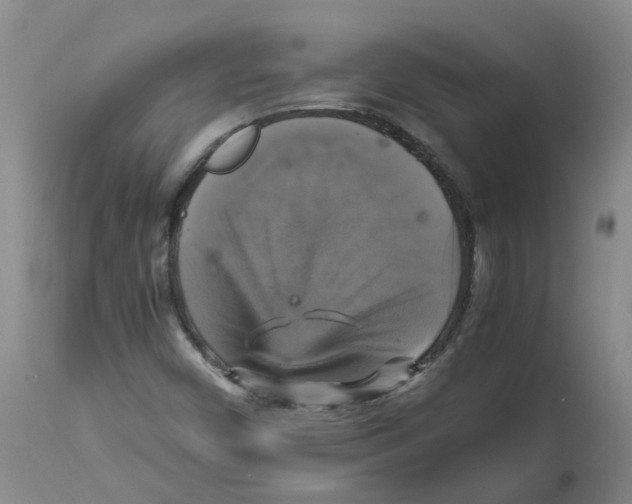 X0000113141450200910021429