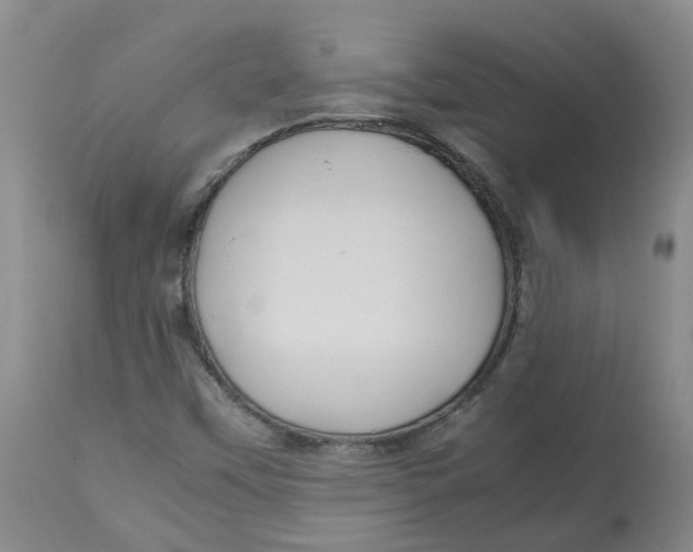 X0000113141451200910021429