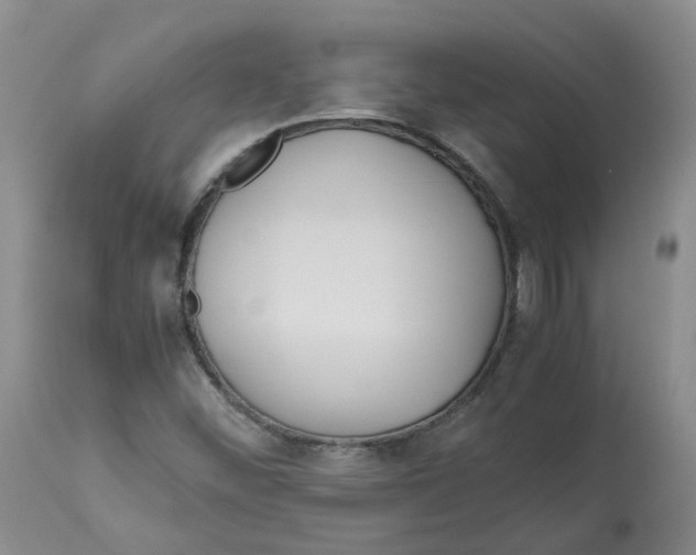 X0000113141452200910021429