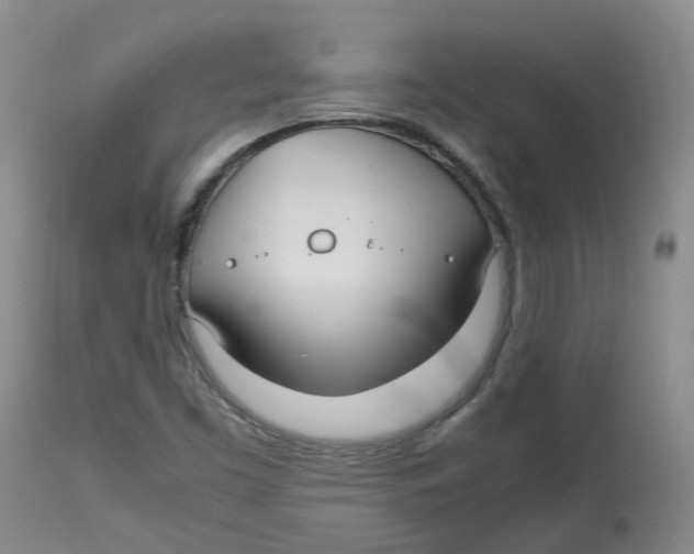 X0000113141453200910021429