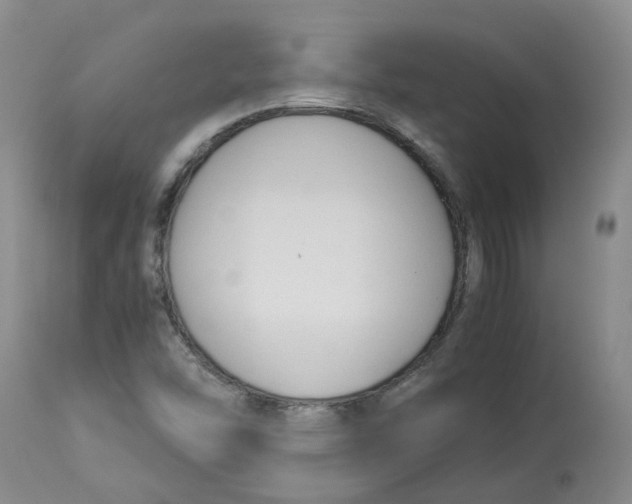 X0000113141454200910021429