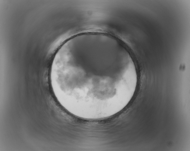 X0000113141455200910021429