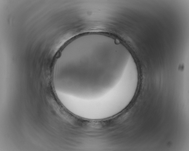 X0000113141457200910021428