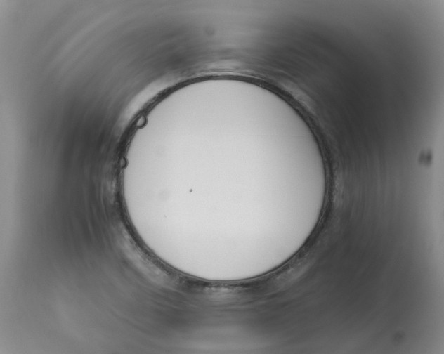 X0000113141458200910021428