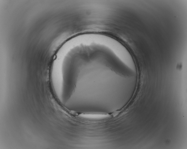 X0000113141459200910021428