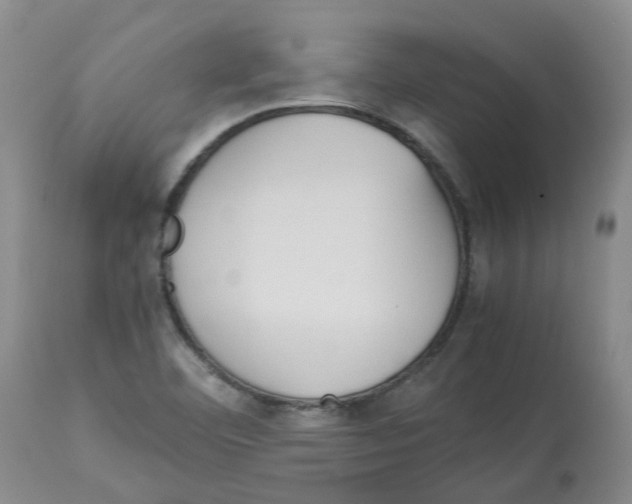 X0000113141460200910021428