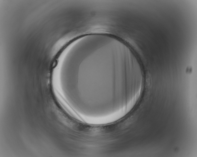 X0000113141461200910021428