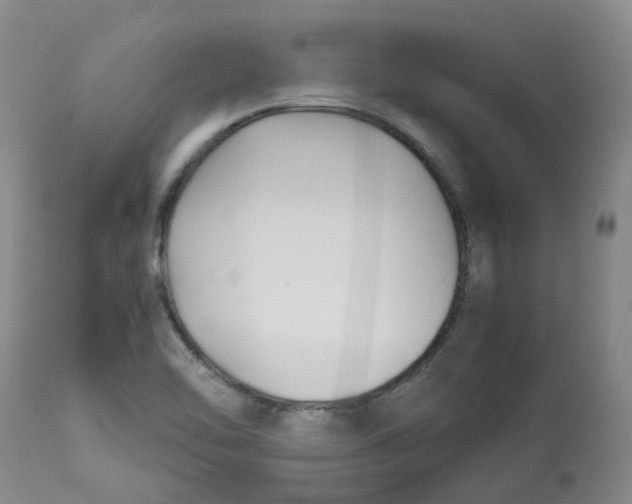 X0000113141462200910021428