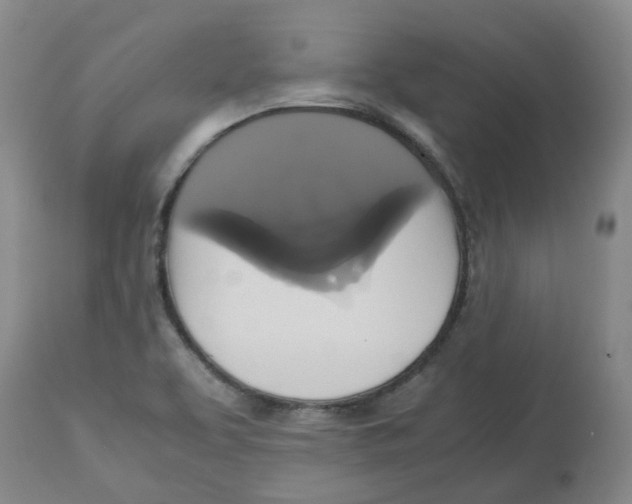 X0000113141463200910021428