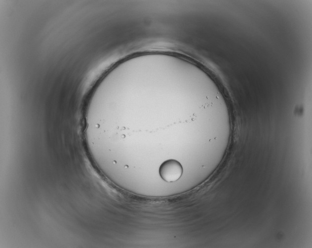 X0000113141464200910021428