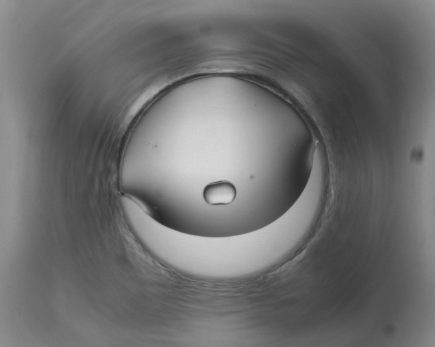 X0000113141465200910021428